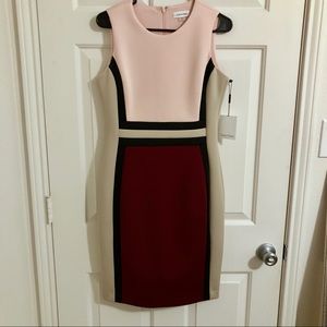 NWT: Calvin Klein Colorblock Sheath Dress